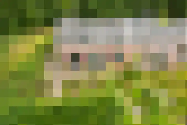 Remise 12 Doorn thumbnail 80