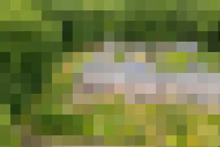 Remise 12 Doorn thumbnail 81