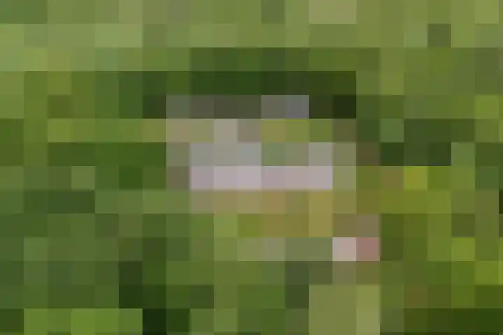 Remise 12 Doorn thumbnail 83
