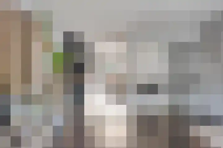 Remise 13 Marknesse thumbnail 11