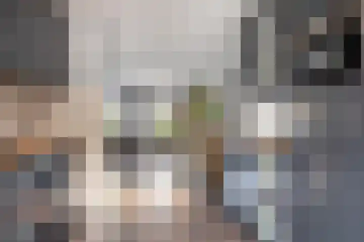 Remise 13 Marknesse thumbnail 12