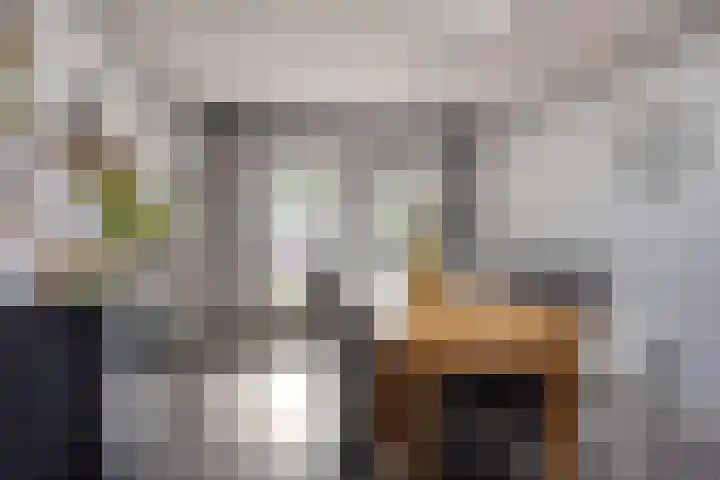 Remise 13 Marknesse thumbnail 13