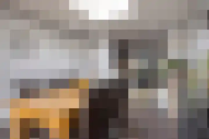Remise 13 Marknesse thumbnail 14