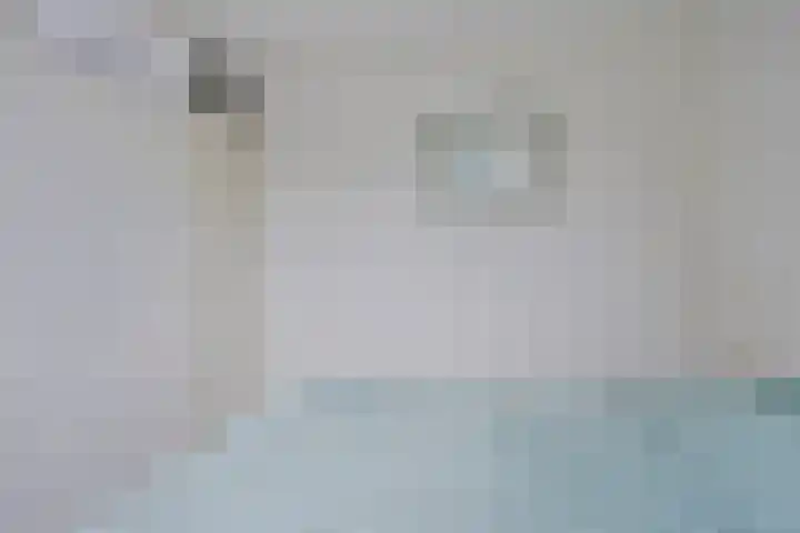 Remise 13 Marknesse thumbnail 18