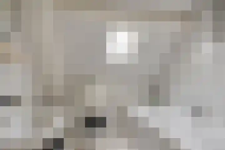 Remise 13 Marknesse thumbnail 19
