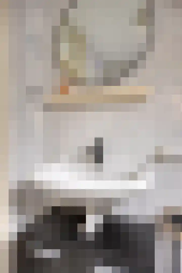Remise 13 Marknesse thumbnail 20