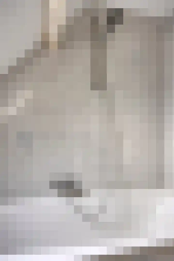 Remise 13 Marknesse thumbnail 21