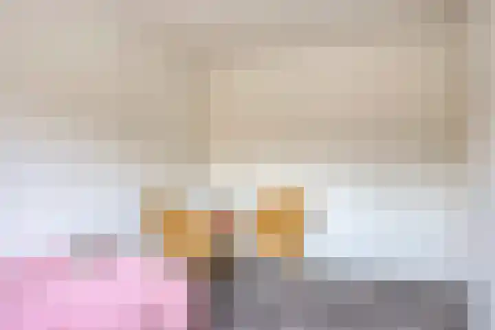 Remise 13 Marknesse thumbnail 23
