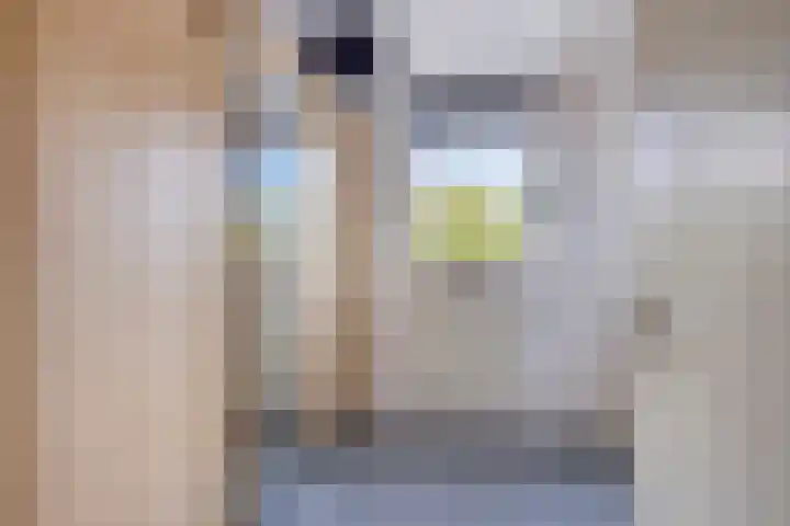 Remise 13 Marknesse thumbnail 24
