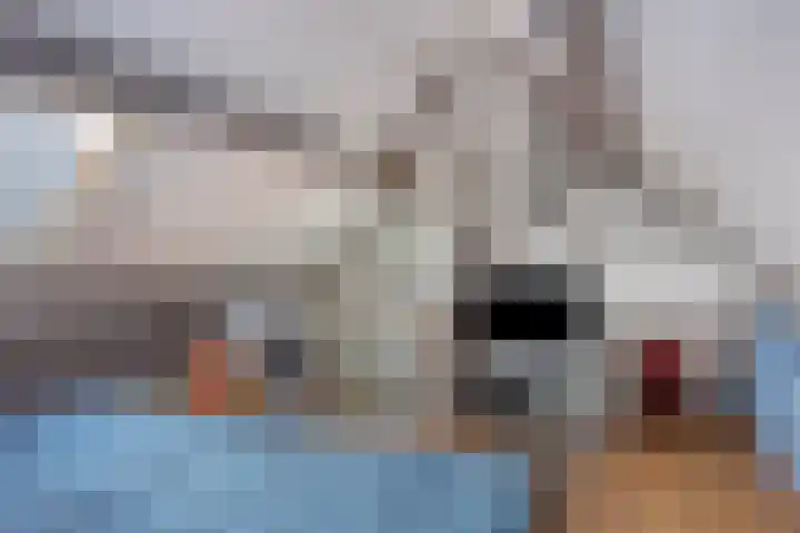 Remise 13 Marknesse thumbnail 26