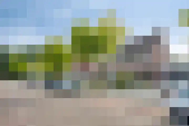 Remise 13 Marknesse thumbnail 30