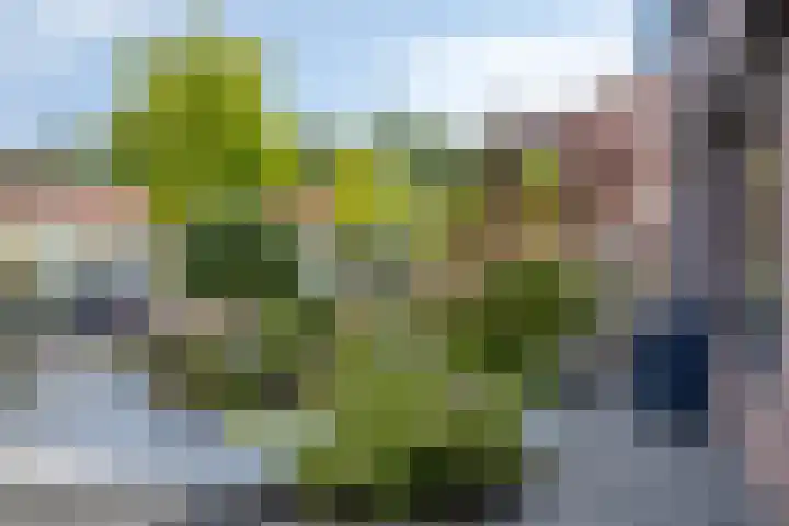 Remise 13 Marknesse thumbnail 31