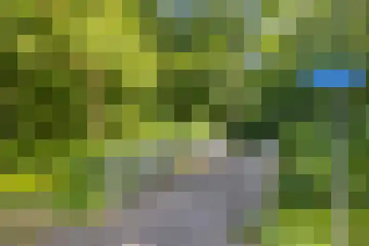 Remise 13 Marknesse thumbnail 32