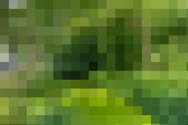 Remise 13 Marknesse thumbnail 33