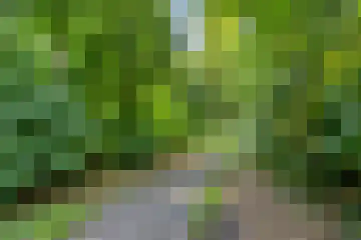 Remise 13 Marknesse thumbnail 34