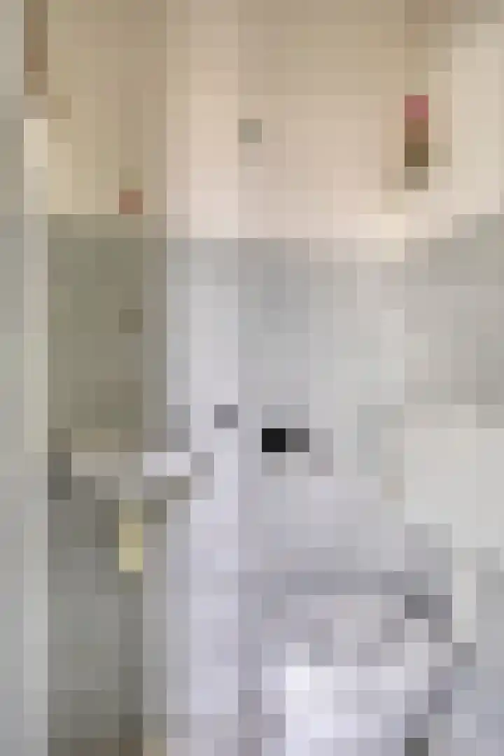 Remise 13 Marknesse thumbnail 6