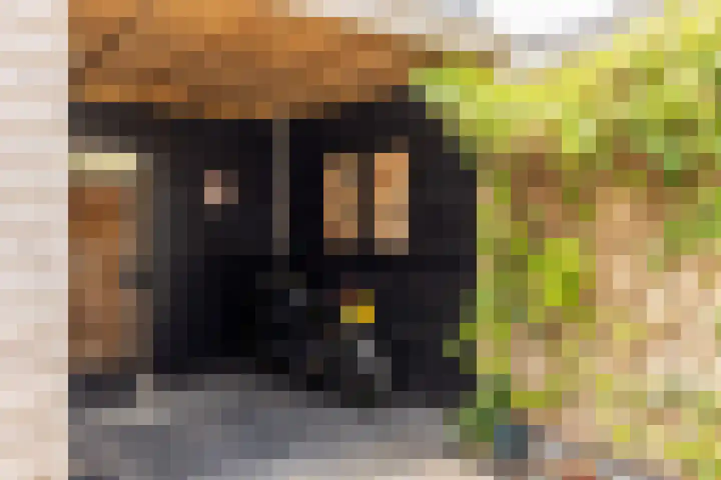 Remise 2 Hellevoetsluis thumbnail 35