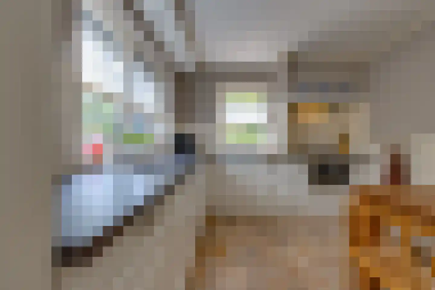 Remise 2 Stadskanaal thumbnail 10