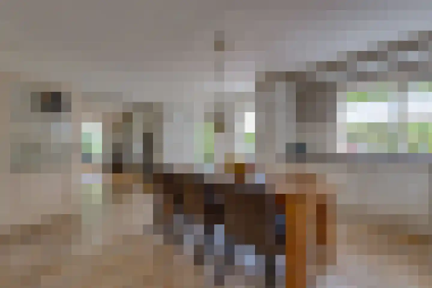 Remise 2 Stadskanaal thumbnail 13