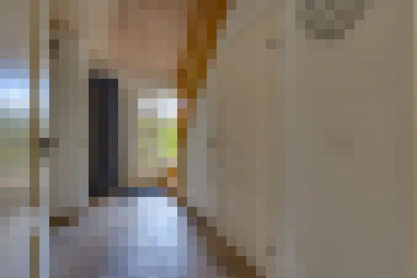 Remise 2 Stadskanaal thumbnail 16