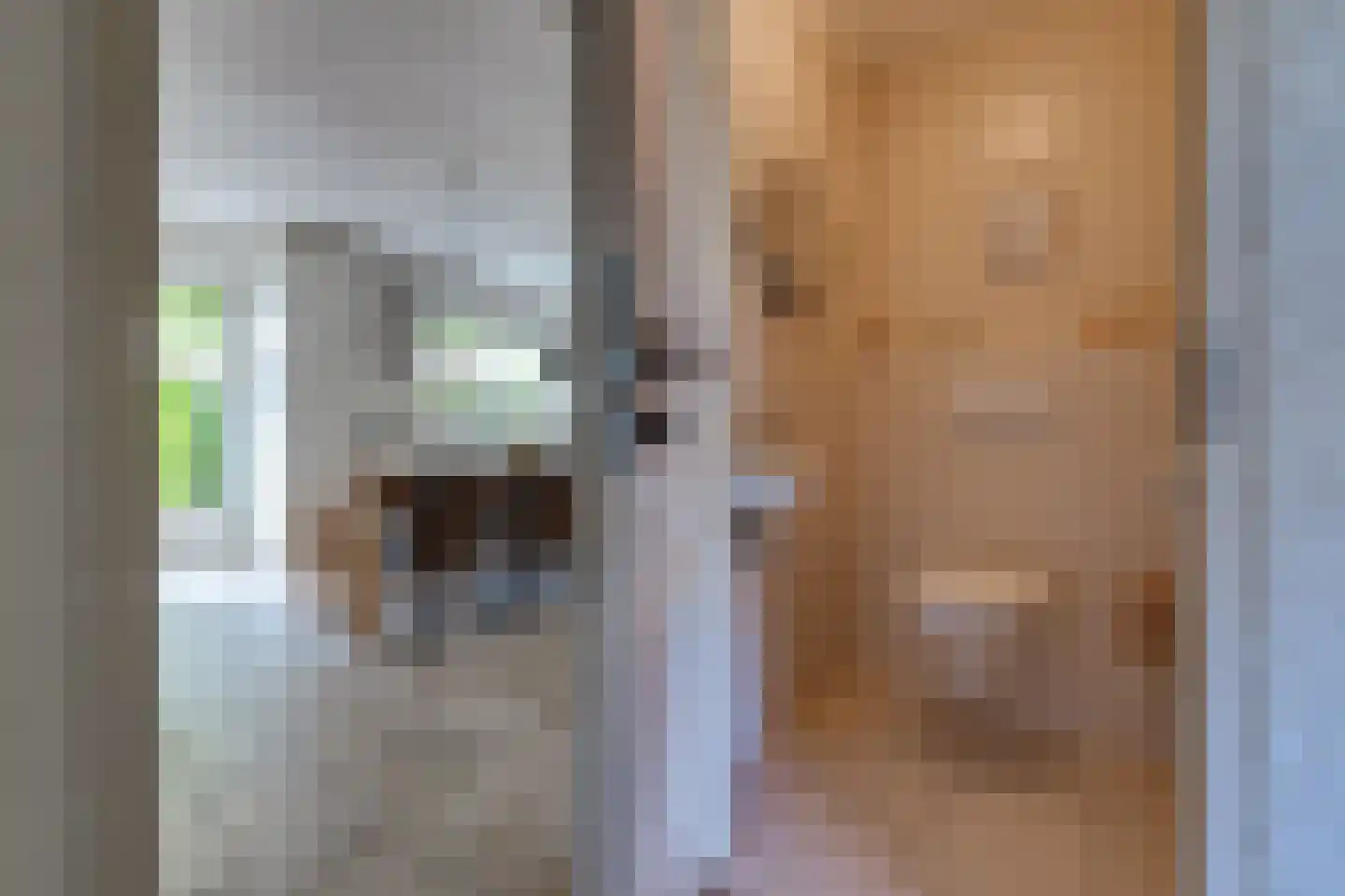 Remise 2 Stadskanaal thumbnail 17