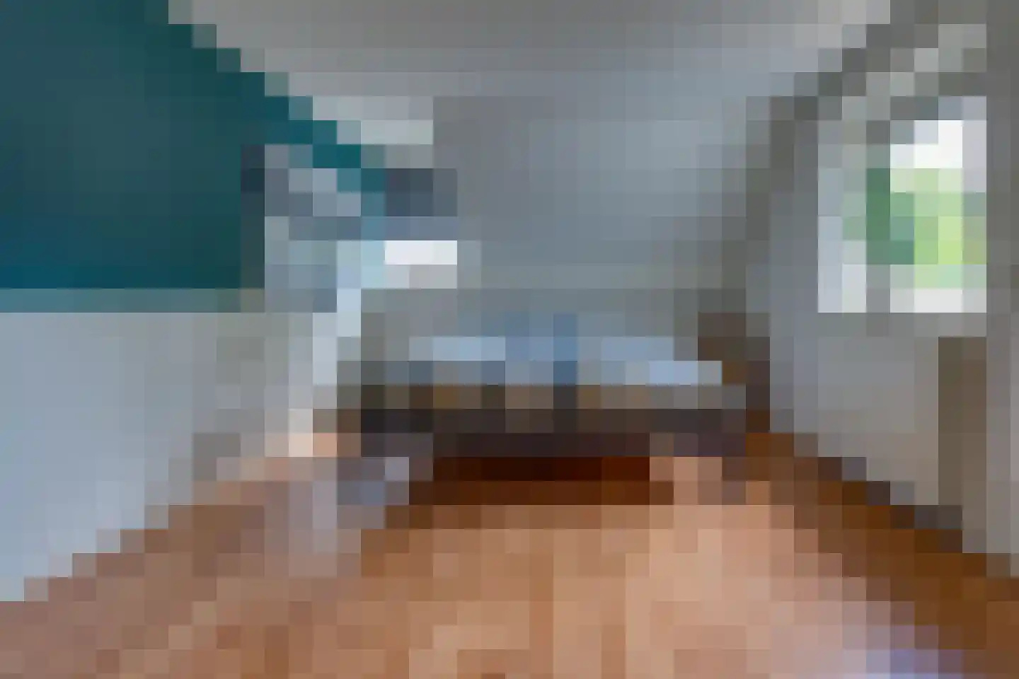 Remise 2 Stadskanaal thumbnail 20