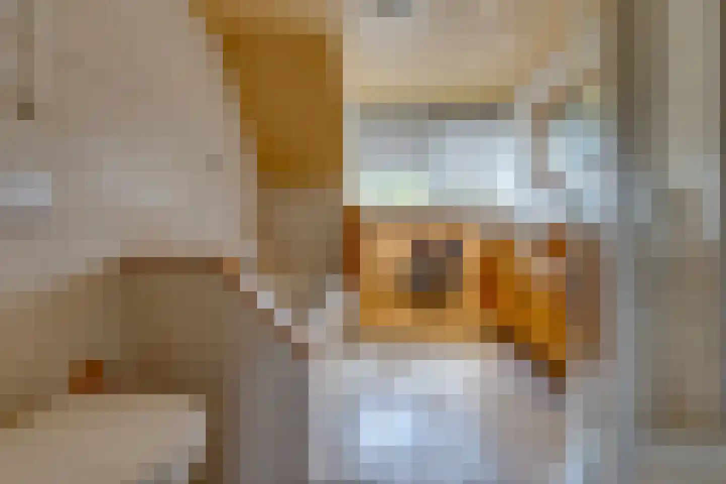 Remise 2 Stadskanaal thumbnail 25