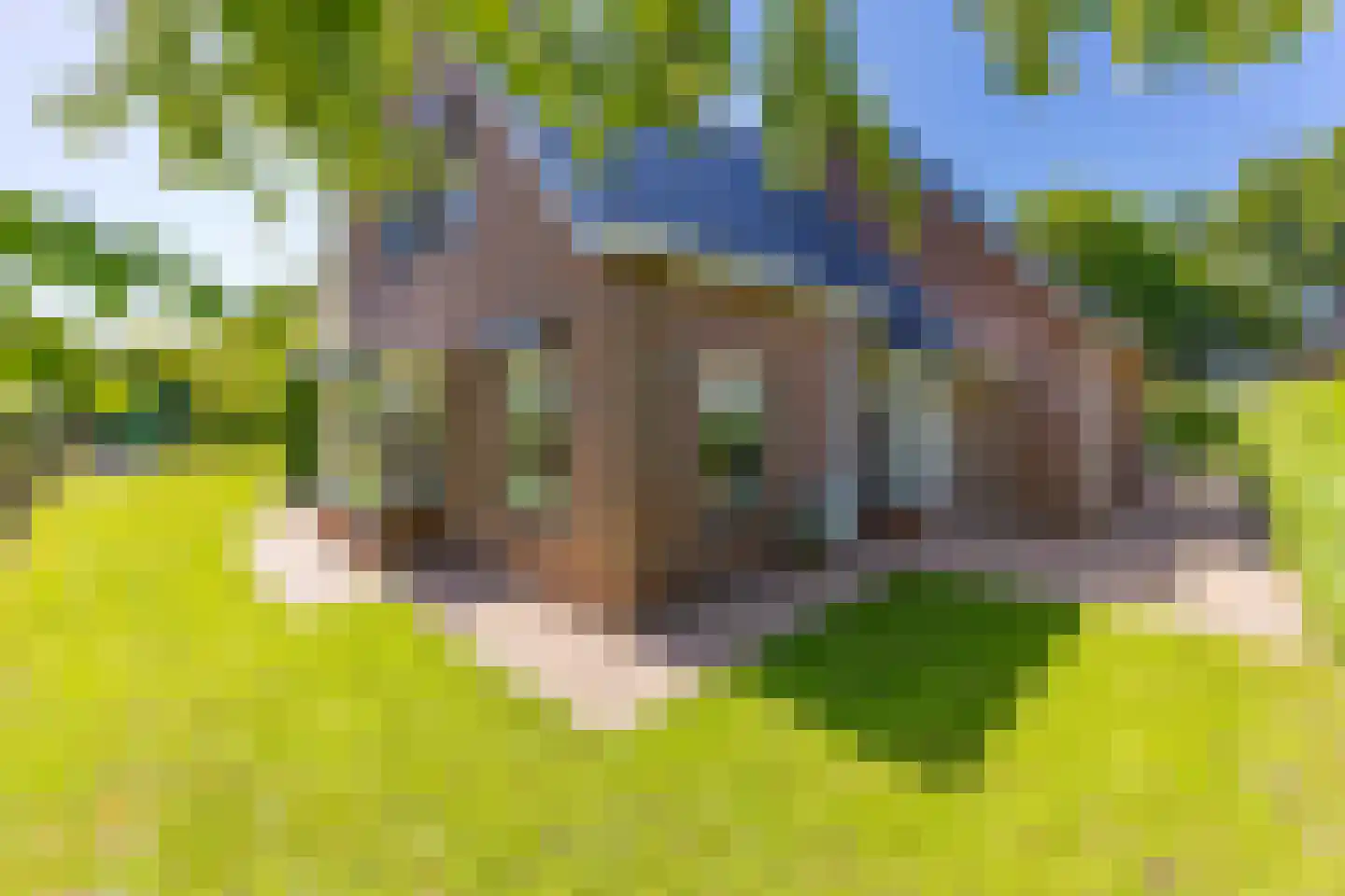 Remise 2 Stadskanaal thumbnail 33