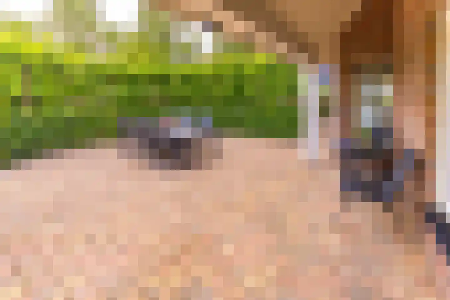 Remise 2 Stadskanaal thumbnail 38