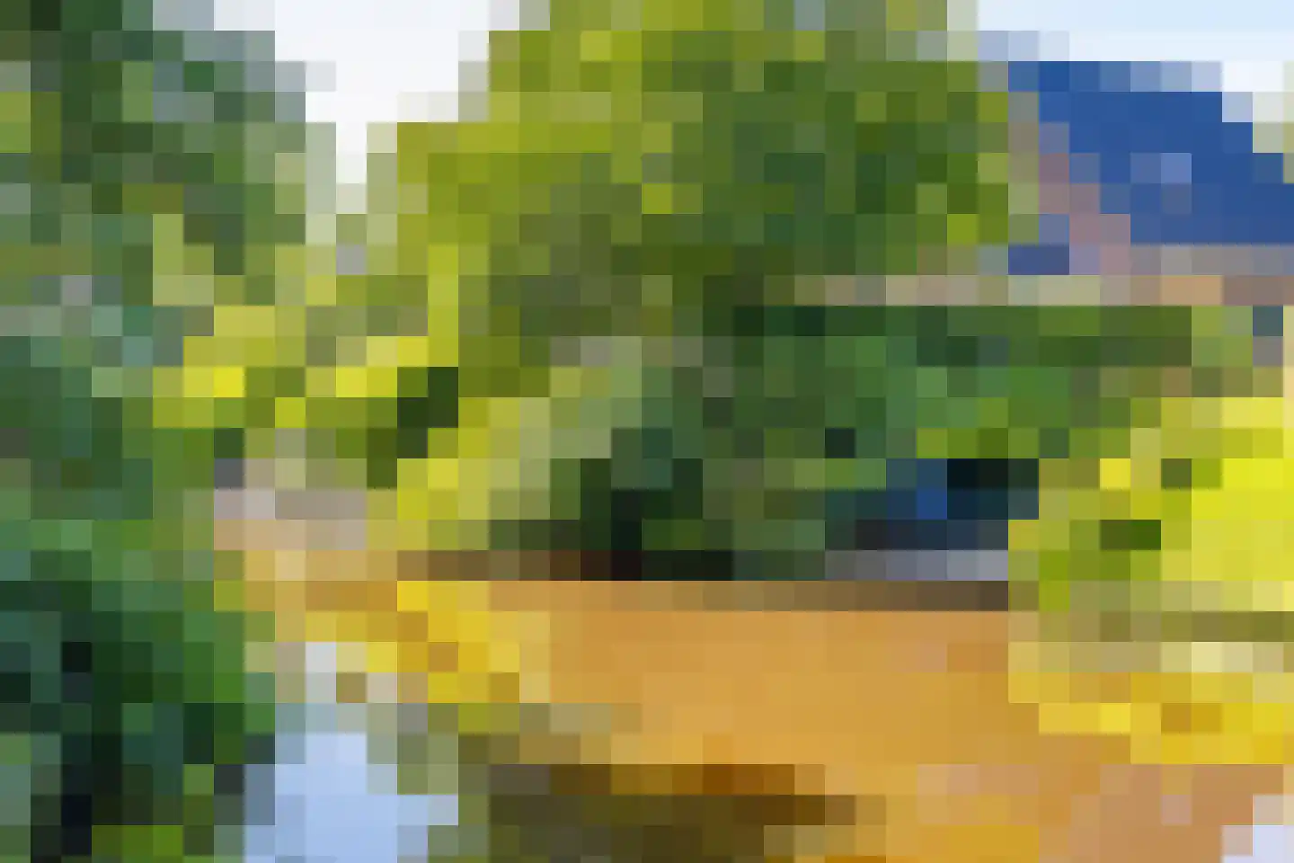 Remise 2 Stadskanaal thumbnail 43
