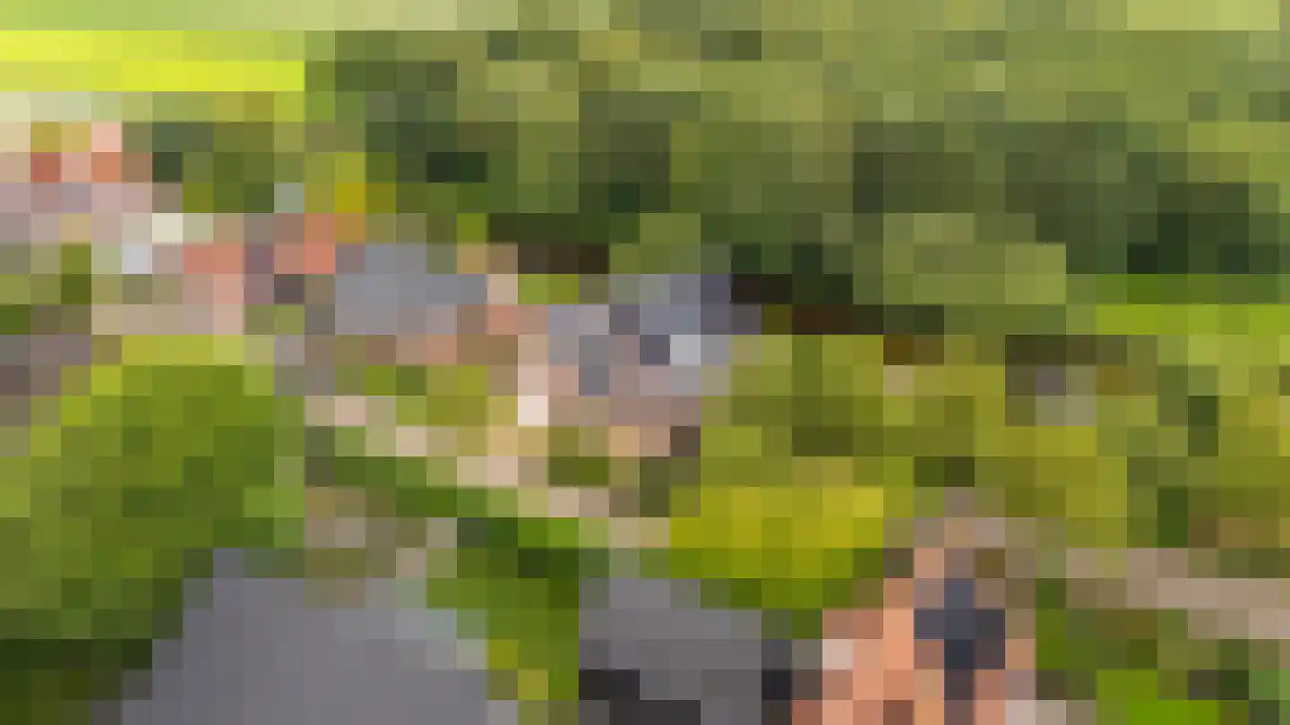 Remise 2 Stadskanaal thumbnail 44