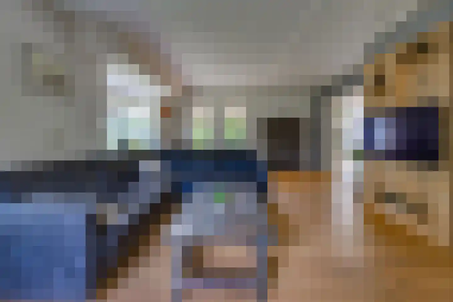 Remise 2 Stadskanaal thumbnail 7