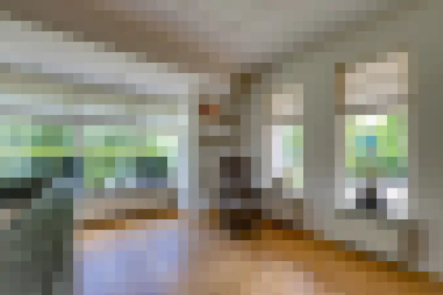 Remise 2 Stadskanaal thumbnail 8