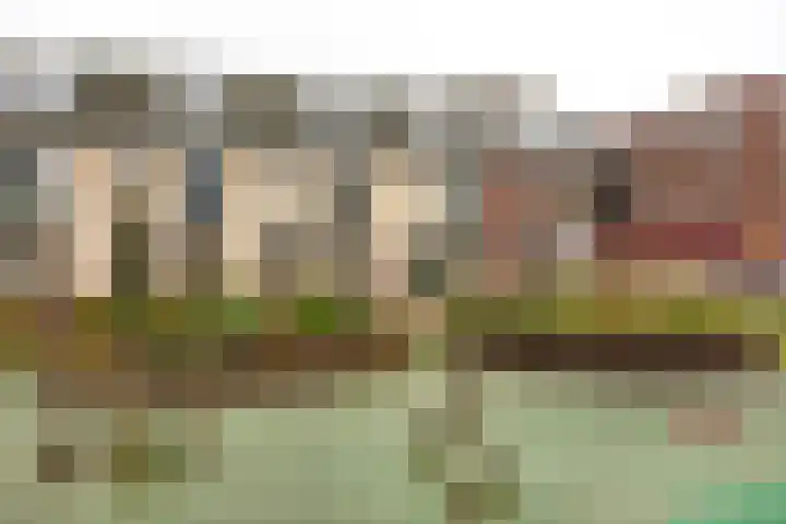 Remiseplantsoen 11 Haarlem thumbnail 23