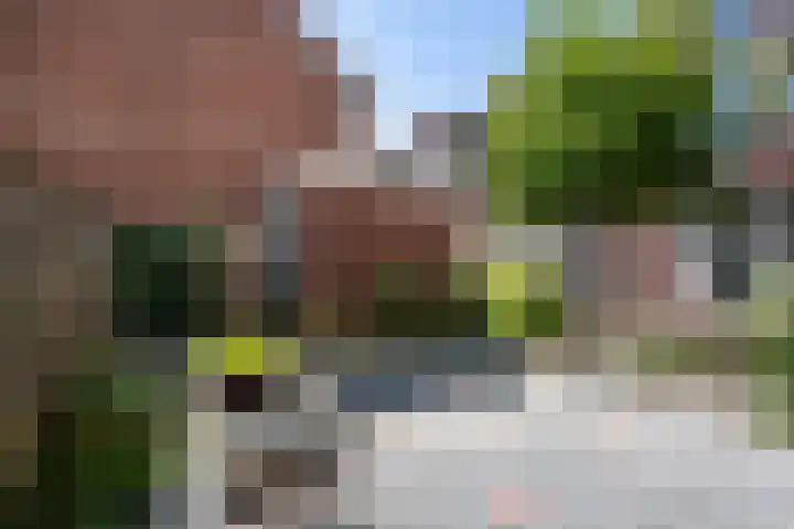 Remiseplantsoen 15 Haarlem thumbnail 10