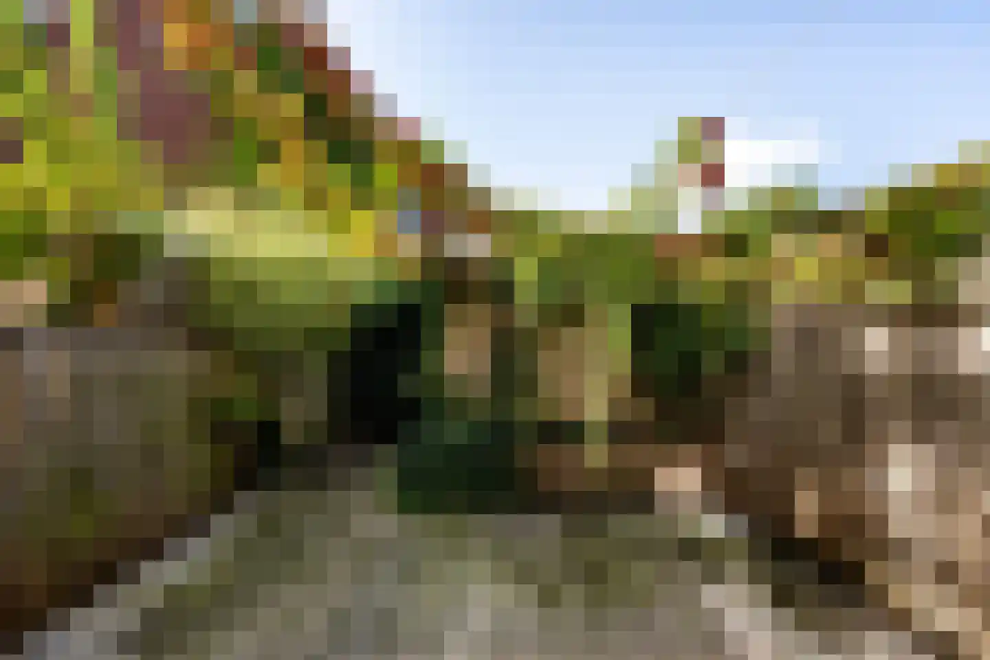 Remiseplantsoen 5 Haarlem thumbnail 10