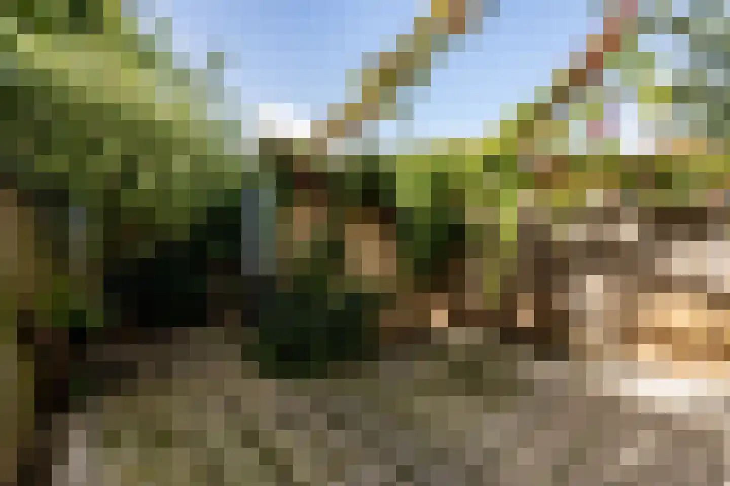 Remiseplantsoen 5 Haarlem thumbnail 12