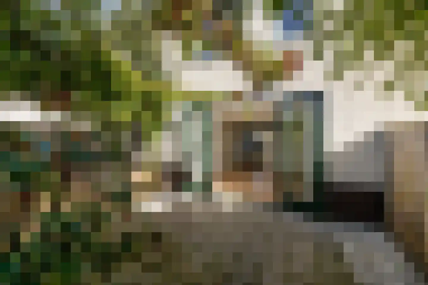 Remiseplantsoen 5 Haarlem thumbnail 9
