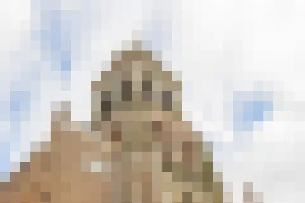 Remisestraat 3 Schoonhoven thumbnail 8