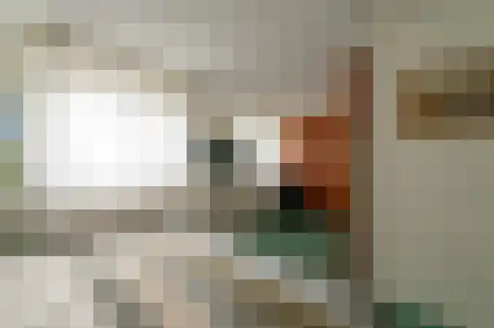 Remisestraat 5 Bemmel thumbnail 27