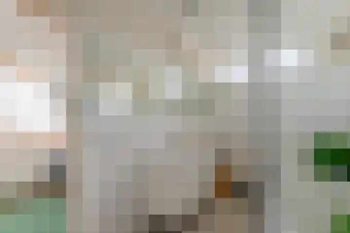 Remisestraat 5 Bemmel thumbnail 31