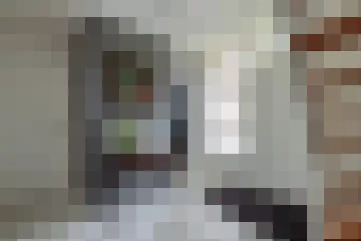 Remisestraat 5 Bemmel thumbnail 4