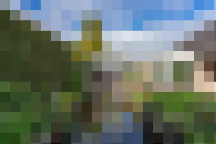 Remisestraat 5 Bemmel thumbnail 42