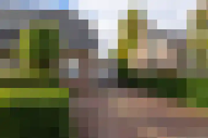 Remisestraat 5 Bemmel thumbnail 45