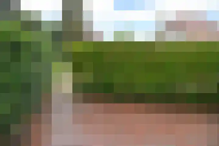 Remiseweg 2 Laren thumbnail 11
