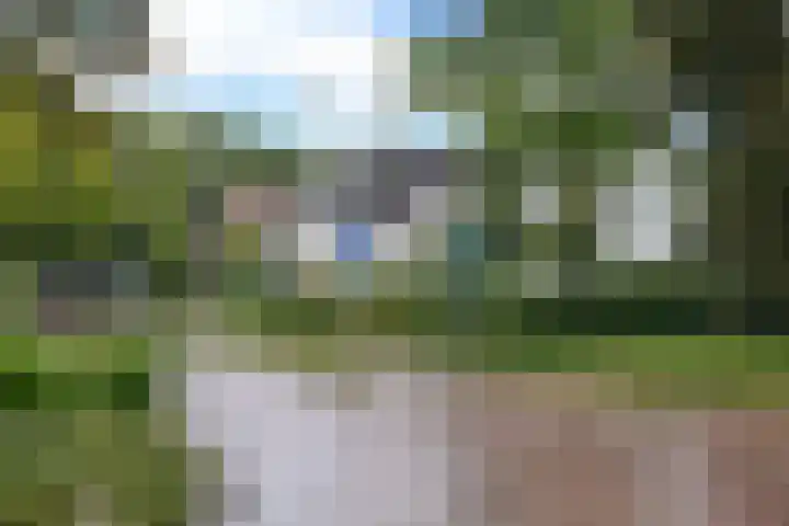 Remiseweg 2 Laren thumbnail 13