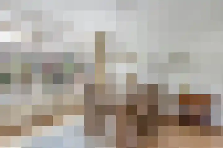 Remmelinge 20 Tuk thumbnail 11