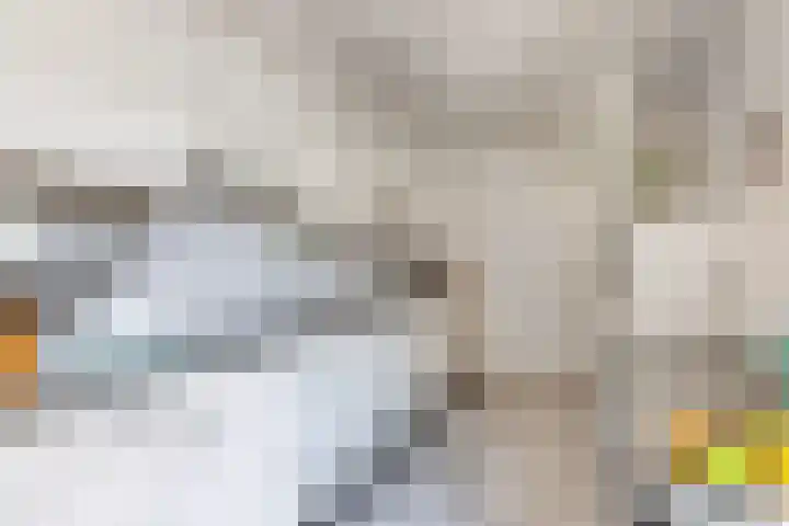 Remmelinge 20 Tuk thumbnail 12
