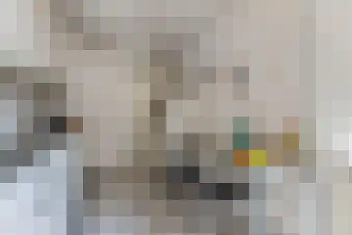 Remmelinge 20 Tuk thumbnail 14
