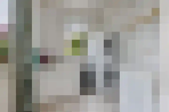 Remmelinge 20 Tuk thumbnail 15